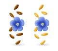 Falling flax seeds with flower in the air